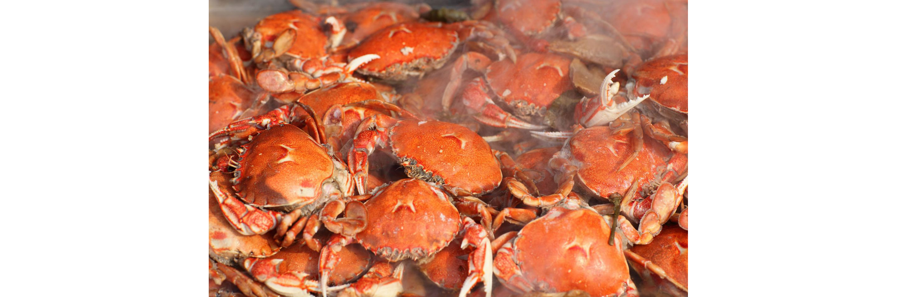 Endless piles of steamed, whole crabs.