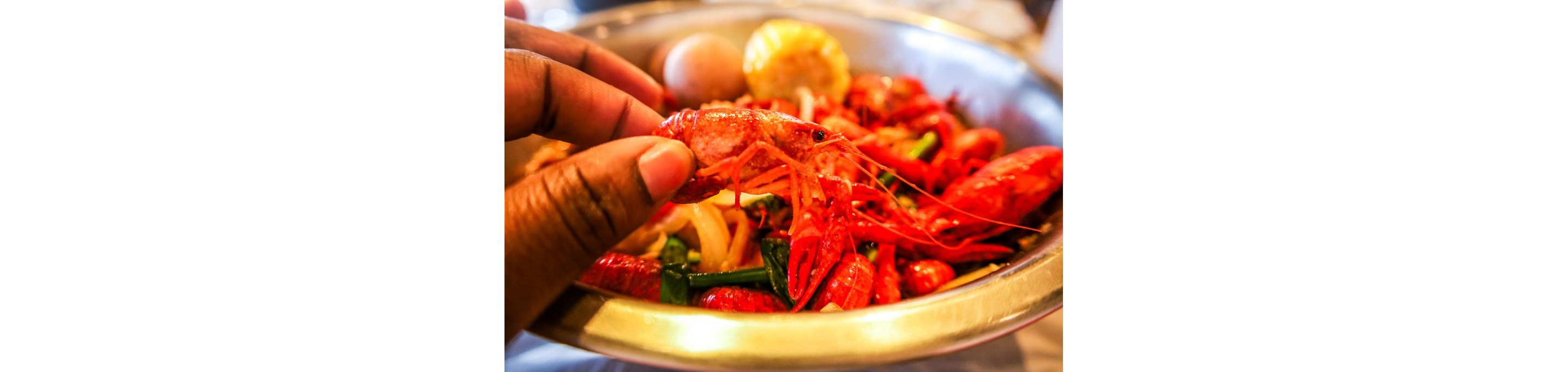 A person holding a single crawfish.