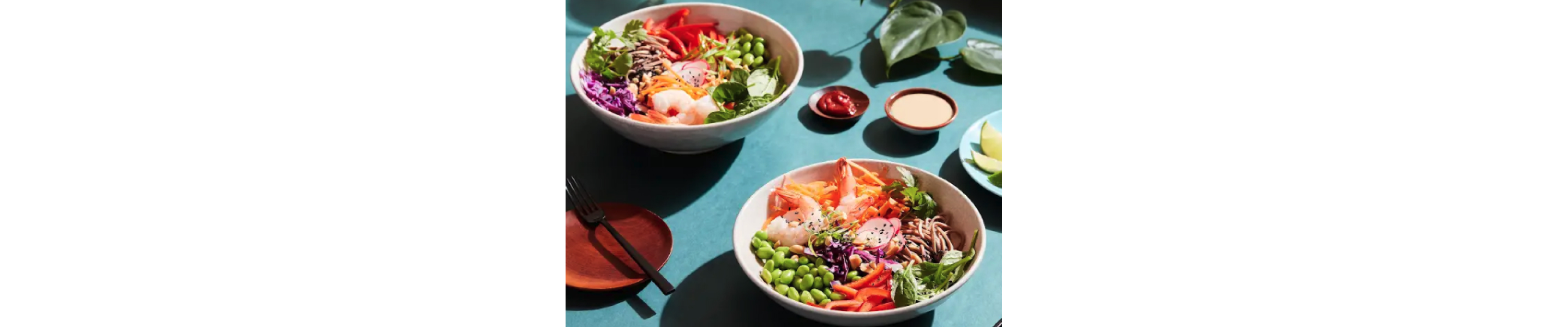 Two bowls of homemade soba noodles with toppings.