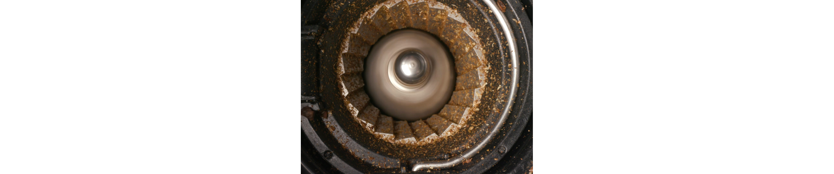 Close up image of a burr grinder grinding coffee beans