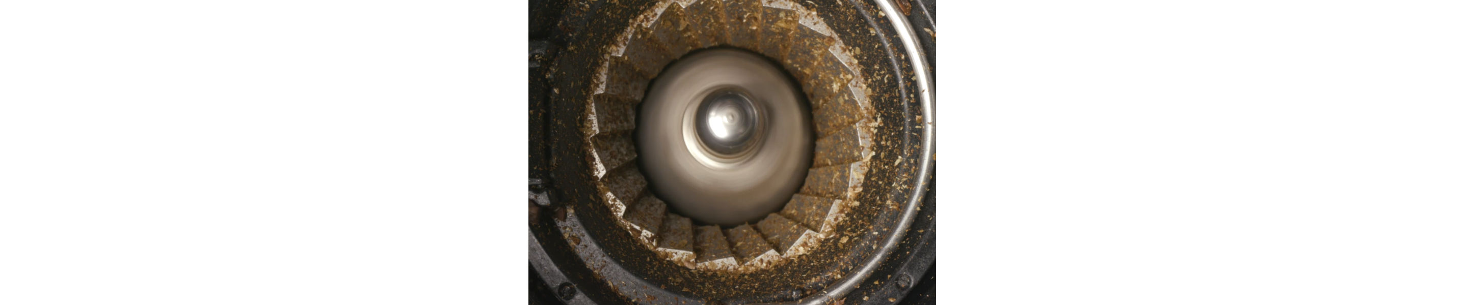 Interior of burr coffee grinder