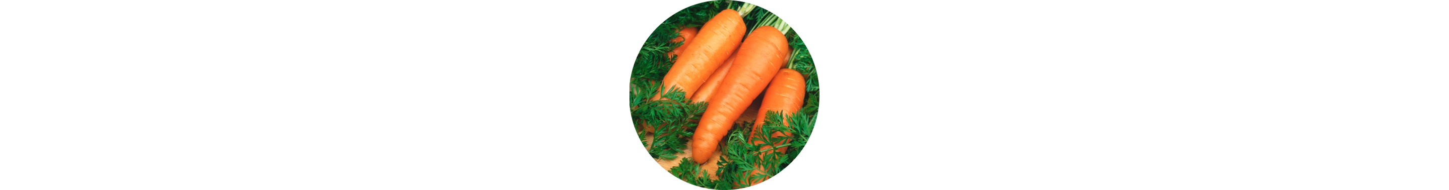A bundle of bright orange raw carrots.