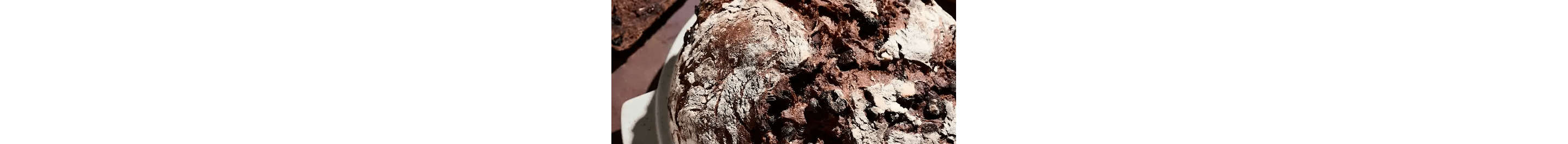 Chocolate Cherry Rye Bread